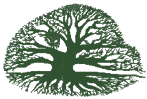 DP Foundation logo