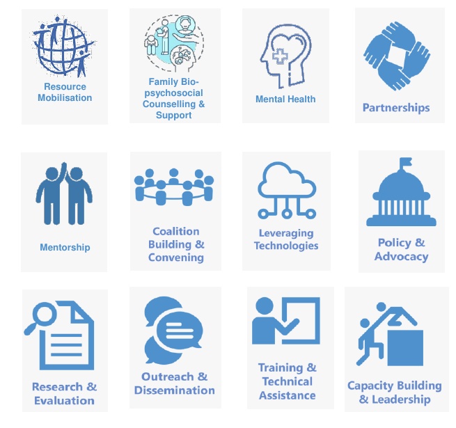 Flagship Programming Pillars from DP Foundation profile