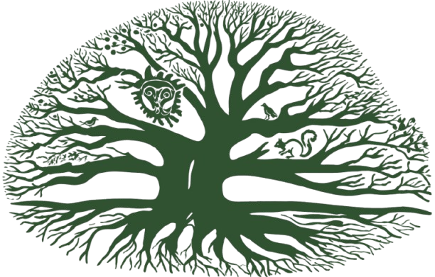 DP Foundation
