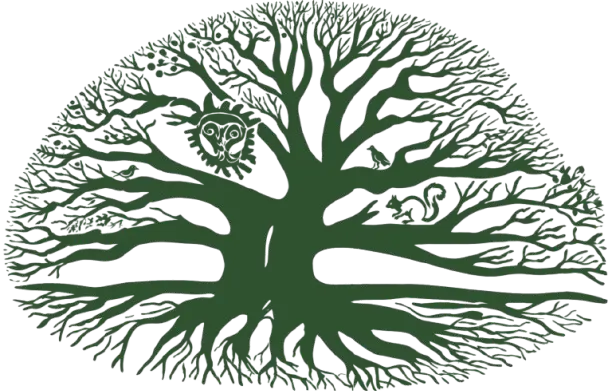 DP Foundation